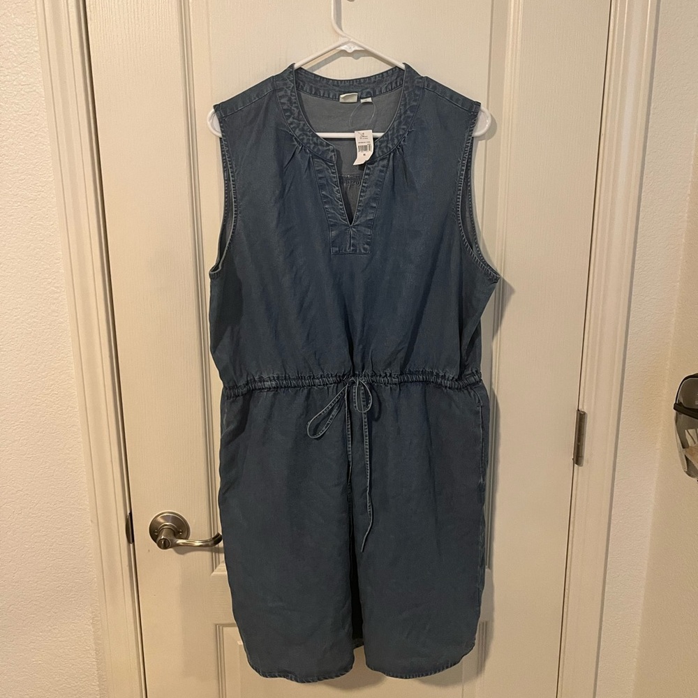 Sleeveless Chambray Dress from Gap